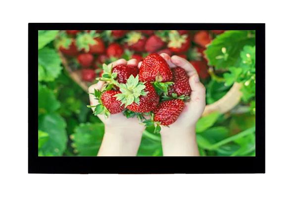 LCD液晶屏的全景解析：技術原理、應用及未來發(fā)展